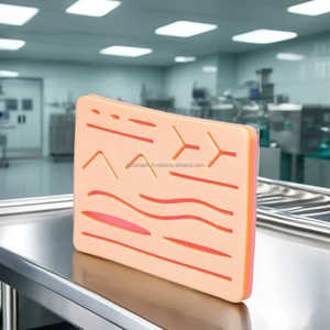 ชุดแผ่นเย็บแผลสำหรับนักเรียนสัตวแพทย์และแพทย์ที่มีบาดแผล14แผลก่อนการตัดได้รับการรับรอง CE อุปกรณ์การฝึกอบรมผลิตฉลากส่วนตัว - Product Image 5