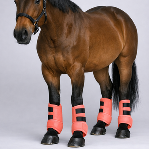 Bottes d'équitation en néoprène, amortissantes, respirantes, durables, protection des jambes, service OEM. - Product Image 1