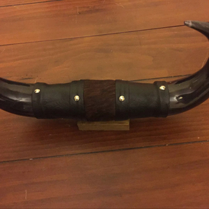 Ensemble de cornes de bœuf montées, écologiques, faites à la main, rustiques, modernes, polies, thème animalier, style western, pour décoration intérieure, Pâques - Product Image 1