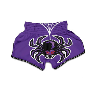 Shorts de compétition Muay Thai personnalisés, shorts de boxe de haute qualité, fabricant OEM, service de marque privée - Product Image 2