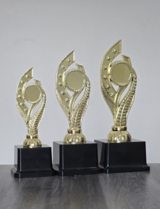 •Stylish plastic <b>trophy</b> for business award ceremonies. - Product Image 5