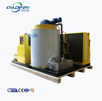 Machine à glace en flocons COLDPRO compacte de 5 tonnes pour supermarchés et restaurants, facile à nettoyer, 220V/380V