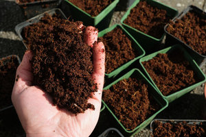 Coco Coir Bricks for Natural Plant Growth Coconut Brick Grow Plant Medium <b>Soil</b> Compress Coconut Peat Grow Coco Coir Block - Product Image 2