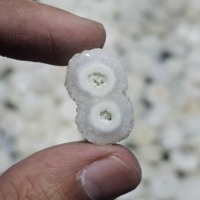 Lot de quartz solaires naturels en vrac, pierres précieuses polies, pierres organiques pour la fabrication de bijoux