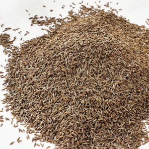 Semillas de Comino Indio Sin GMO, Semillas de Jeera Enteras, Especia Natural de Primera Calidad para Venta al por Mayor Internacional - Product Image 4