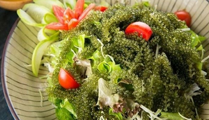 Uvas de Mar de Vietnam Más Vendidas |   Caviar Verde Deshidratado a Granel y en Sobres de 20g - Product Image 6