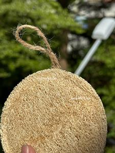Esponjas de Luffa Orgánicas Naturales para el Cuerpo, Tamaño Personalizado, Esponjas de Baño y Cocina, Esponjas Redondas de Luffa, Embalaje OEM de Vietnam - Product Image 3