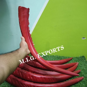 Cuerno largo de búfalo de agua con punta para la fabricación de arcos tradicionales, y mango para cuchillos y rasuradores, y gafas de primera calidad. - Product Image 3