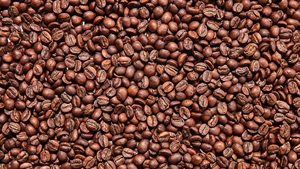 100% PURE ROASTED ARABICA & ROBUSTA COFFEE BEANS FACTORY PRICE WHOLESALE - Product Image 3