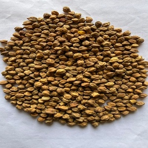 Garbanzos Negros de Primera Calidad (Chickpeas Desi), Alimento Rico en Proteínas Naturales, Legumbres de Grado Alimenticio para Consumo Humano, a Granel, 18 Meses de Duración - Product Image 4