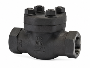 วาล์วกันกลับแบบยกแนวนอนขนาด 1/2 นิ้ว ASTM A105 เหล็กกล้าคาร์บอนฟอร์จ เกรด 800 เกลียว NPT แบบตัวเมีย - Product Image 1