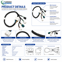 Harnais de câblage automobile complet sur mesure OEM, connecteur mâle-femelle, assemblage de câbles d'alimentation