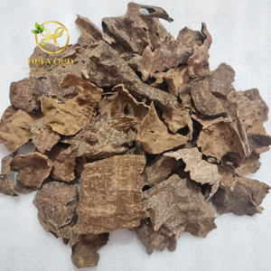 Oud Vietnamita Cultivado Naturalmente - Aroma Atemporal de la Naturaleza - Product Image 5