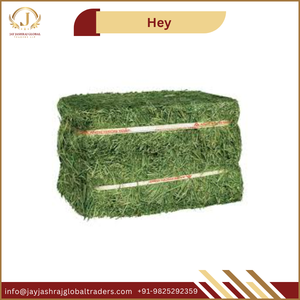 Granulés de foin d'alfalfa et balles de foin de luzerne, aliments pour animaux pour chevaux, bovins, porcs, poissons, variété incluant le foin de Rhodes - Product Image 5