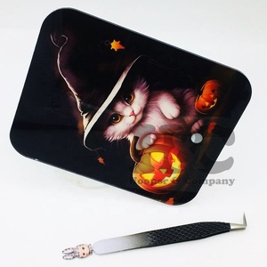 กระเบื้องขนตาอะคริลิครูปแมวน่ารักแบบยั่งยืนแผ่นติดขนตาปลอมรูปหัวใจผีเสื้อสุดยั่งยืนดีไซน์ใหม่ - Product Image 5