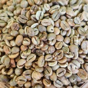 Direct From Factory Robusta Green Coffee <b>Beans</b> 90%+ Ripeness at Wholesale Price Bulk 60kg PP <b>Bags</b> <b>For</b> Export Commercial - Product Image 2