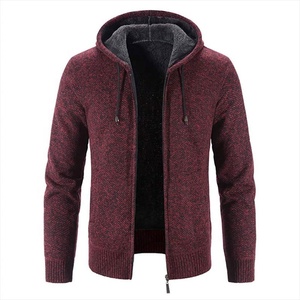 Pull en tricot à capuche brodé pour femmes, manches longues, couleur unie, décontracté, hiver, 100% polyester - Product Image 2