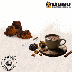 เห็ดชากาเหลว LiGNO CG06 ยอดขายอันดับหนึ่งของมาเลเซีย สารต้านอนุมูลอิสระเข้มข้น วัตถุดิบเกรด GMP สำหรับเครื่องสำอาง รองรับ ODM OEM - Product Image 1