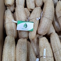 Brosse de douche ronde longue de qualité supérieure Green Future / Loofah égyptien biologique du Vietnam 100% naturel