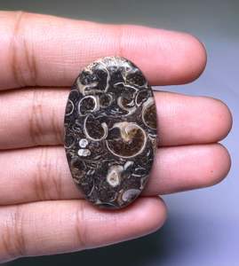 Lote al por mayor de cabujones de ágata TURRITELLA por peso con diferentes formas y tamaños utilizados para la fabricación de joyas, piedra TURRITELLA - Product Image 1