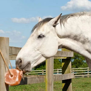 Sal del Himalaya de la Mejor Calidad, Hecha en Pakistán, Sal Redonda para Animales, Bloque de Sal para Animales de 2-3 kg, Venta al Por Mayor - Product Image 5