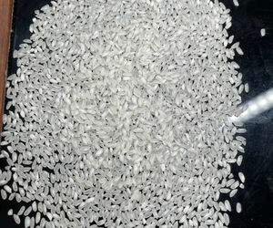 Arroz Camolino de Grano Corto de Primera Calidad, Arroz Blanco Calrose Japonica Fresco HALAL, Doble Sortex, para Exportación al por Mayor - Product Image 2