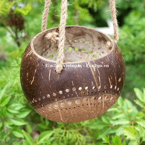 Macetas de Fibra de Coco 100% Naturales, Biodegradables y Ecológicas, con Acabado Cromado, para Uso en el Hogar y Hoteles, Eco2go Vietnam - Product Image 6