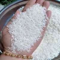 Riz Jasmin Thaï Bio en Gros, Blanc Pur, Grain Moyen, Texture Ferme, Frais et Séché, Qualité Supérieure, Certifié HACCP ISO, 5% de Brisure