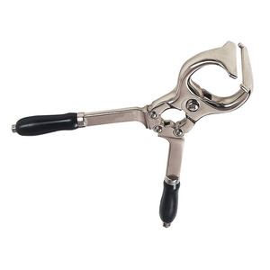 Juego de herramientas veterinarias de acero inoxidable de alta calidad para la gestión profesional de animales e instrumentos de castración para granjas - Product Image 3