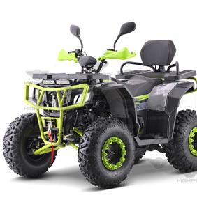 New Gasoline 4 Stroke <b>Quad</b> <b>Bike</b> 200cc <b>250cc</b> Gas Powered ATV for Adults Four Wheel with CE - Product Image 2