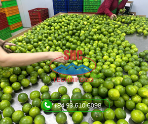 Limones frescos sin semillas de calidad superior exportados desde Vietnam para mercados globales Larga vida útil Sabor jugoso Suministro al por mayor a granel - Product Image 1
