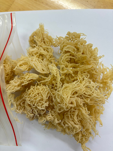 100% Natural <b>Light</b> Yellow Dried Sea Moss Premium Bulk Wholesale Export Sea Moss OEM Supplier Custom Packaging - Product Image 2