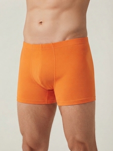Boxers de performance pour hommes – Sous-vêtements souples, respirants et extensibles, coupe confortable pour commandes en gros personnalisées - Product Image 4