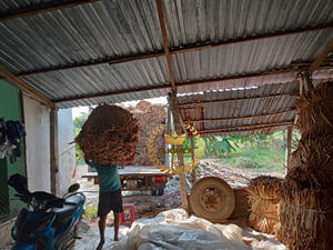 ผักตบชวาอบแห้งสำหรับเฟอร์นิเจอร์หัตถกรรมวัตถุดิบจากเวียดนาม - Product Image 6