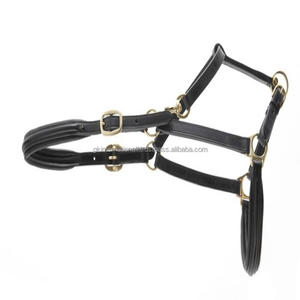 Licou de cheval en cuir rembourré de luxe d'aspect anglais classique avec double boucles et muserolle réglable marchandises équestres de cheval de licou - Product Image 5