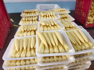 ข้าวโพดหวานแช่แข็ง IQF แบบนึ่งทั้งลูก บรรจุภัณฑ์แบบขายส่ง ผักแช่แข็ง - Product Image 1