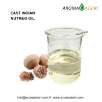 Aceite Esencial de Nuez Moscada de la India Oriental de Primera Calidad – Aceite 100% Puro de Myristica fragrans para Aromaterapia, Fragancias y Aplicaciones de Sabor