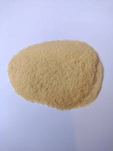 Jengibre en Polvo Tailandés 100% Soluble en Agua al por Mayor - Product Image 1