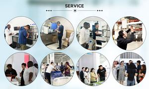 BIOBASE çin çok modlu değerli Metal <span class=keywords><strong>Tester</strong></span> BK-DMG600K yüksek değerli Alarm aşırı yük uyarı yoğunluk ölçer cihazı laboratuvar için - Product Image 4