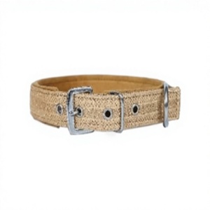 Collar para Perro Resistente a Impactos con Brillo, Costuras Reforzadas, Collar para Mascotas con Herrajes Premium de Divine International - Product Image 1