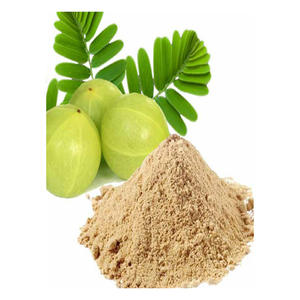 ผงผลไม้อัมลาคุณภาพสูงสุดสำหรับสมูทตี้ น้ำผลไม้ เบเกอรี่ และของหวาน - Product Image 3