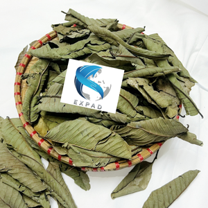 Suministro Directo de Hojas de Guayaba Secas al Sol, Saco de 25 kg, Precio al por Mayor, Hojas Puras de Plantas Envasadas al Vacío por Exportador Vietnamita - Product Image 5