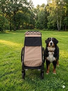 Remolque para Perros Grandes KS-6200, Remolque para Bicicleta con Suspensión Independiente, Llantas Inflables de 20 Pulgadas/Llantas Giratorias de EVA de 8 Pulgadas, Marco Plegable de Aluminio - Product Image 3
