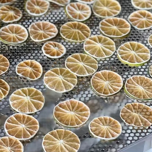 Rodajas de Limón Secas Naturales para Agua Detox e Ingredientes de Té de Frutas, Origen Vietnam - Product Image 2