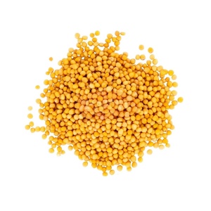 Graines de moutarde jaunes entières Brassica Alba Peeli Sarson Export Inde - Product Image 1