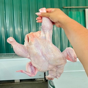 ผลิตภัณฑ์ไก่แช่แข็งที่มีคุณภาพเชื่อถือได้และรสชาติอร่อย สำหรับผู้ซื้อปลีก ครัวมืออาชีพ และการทำอาหารในครัวเรือน - Product Image 2