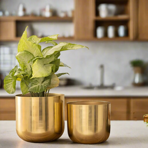 New Crafts Brass Planter <b>Pot</b> With Black <b>Stand</b> Modern Design For Indoor <b>Plants</b> Desktop Decor Circular Shape Planter <b>Pot</b> - Product Image 6