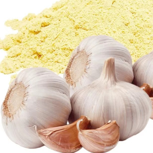 Poudre d'extrait d'ail séché 100% biologique de qualité alimentaire en gros, étiquette personnalisée, pot Mason, haute qualité, prix abordable - Product Image 4