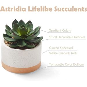 Piante Succulente Finte Assortite in Vasi di Ceramica, Cactus Artificiali per Arredamento Casa, Camera da Letto, Ufficio, Scrivania, Collezione di Piante Artificiali - Product Image 2