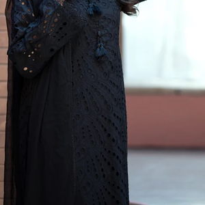 Robe élégante Salwar Kameez, collection Punjabi, vêtements pakistanais et indiens pour femmes, Shalwar Kameez en vente - Product Image 2